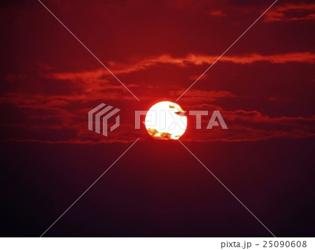 朝陽 朝陽 25090608