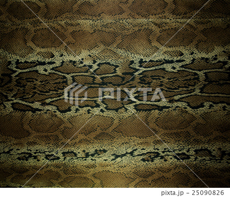 texture of fabric stripes snake leather  25090826