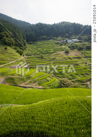 泉谷の棚田（愛媛県内子町泉谷） 25091014