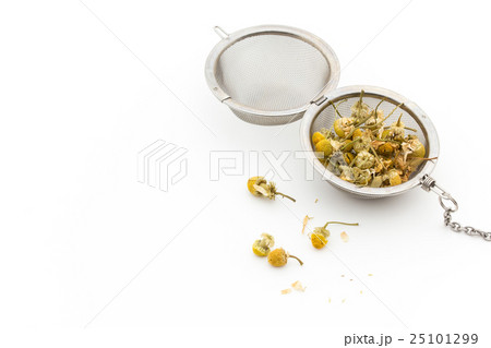 カモミール:Chamomile 25101299