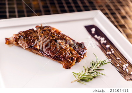 tasty steak with sauce 25102411
