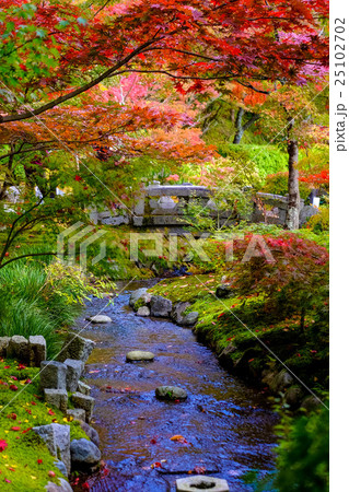 京都 京都市 京都府 25102702