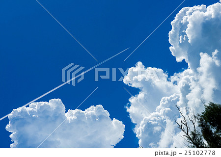 夏空と飛行機雲の写真素材