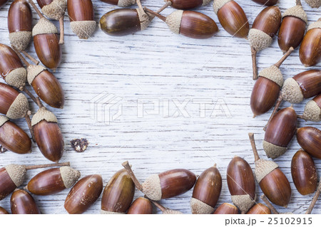 どんぐりと落ち葉の四角いフレーム 秋のイメージ どんぐりと落ち葉の四角いフレーム 秋のイメージ 25102915