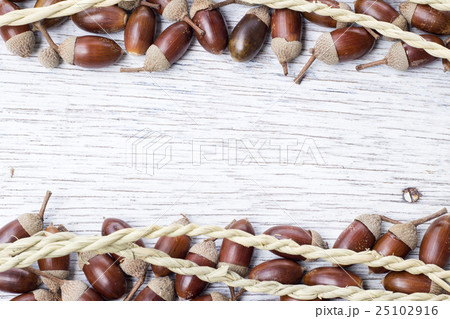 白く塗った板の上に並べたどんぐりのフレーム 白く塗った板の上に並べたどんぐりのフレーム 25102916