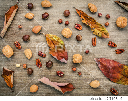 Different kinds of nuts walnuts kernels Different kinds of nuts walnuts kernels 25103164