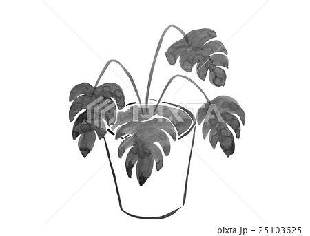 元気のない観葉植物イラスト インテリアのイメージ のイラスト素材