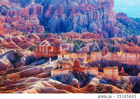 Bryce 25105635