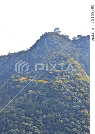 金華山・岐阜城(岐阜県岐阜市) 金華山・岐阜城(岐阜県岐阜市) 25105999