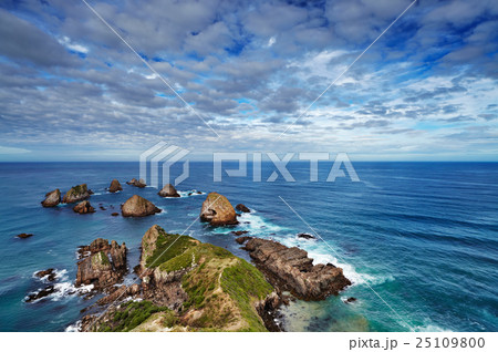 Nugget Point, New Zealand 25109800