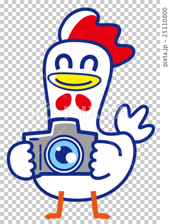 拍攝年份 25110800