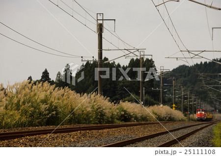 秋景を行く赤い電車 25111108
