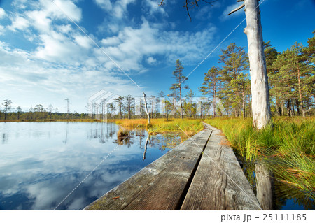 Viru bogs at Lahemaa national park 25111185