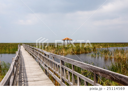 Khao Sam Roi Yod National Park, Thailand. 25114569