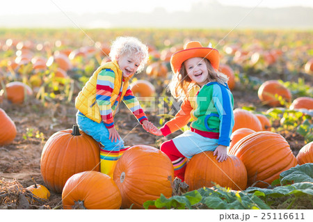 Kids picking pumpkins on Halloween pumpkin patch Kids picking pumpkins on Halloween pumpkin patch 25116611