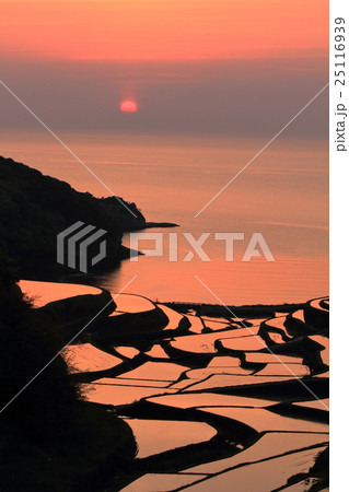 江里山　浜野浦の棚田 25116939