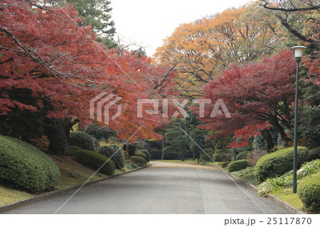 秋季皇居乾通り一般公開（山下通り） 25117870