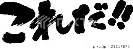 これだ！ 25117879