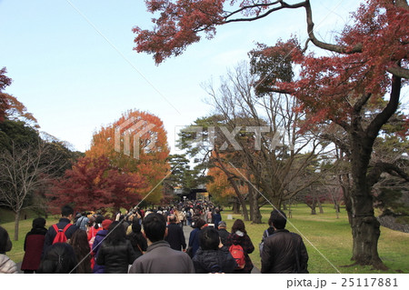 秋季皇居乾通り一般公開 25117881