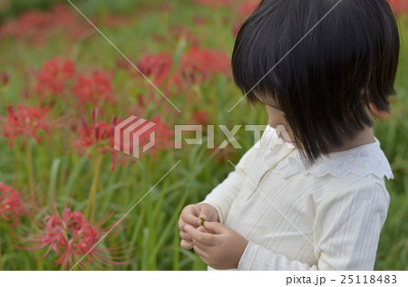 半田市　矢勝川堤　俯く女の子 25118483