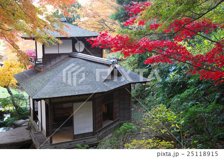 紅葉に包まれる聴秋閣 紅葉に包まれる聴秋閣 25118915