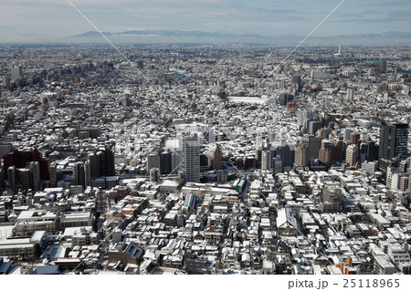 東京の雪景色 東京の雪景色 25118965