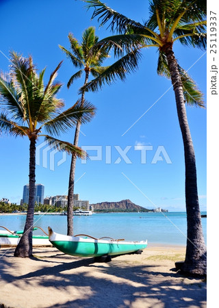 ハワイの休日 25119337