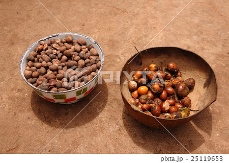 Seeds of shea tree Mubanayili Gana　シアの実　ガーナ 25119653