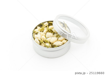 ジャスミンの花:Jasmine Flower ジャスミンの花:Jasmine Flower 25119660