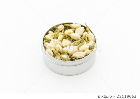 ジャスミンの花:Jasmine Flower ジャスミンの花:Jasmine Flower 25119662