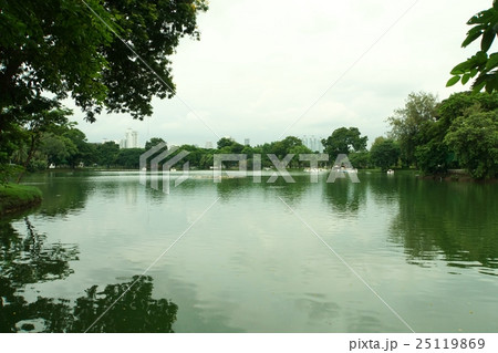 タイ王国バンコクのルンピニー公園(Lumphini Park) タイ王国バンコクのルンピニー公園(Lumphini Park) 25119869