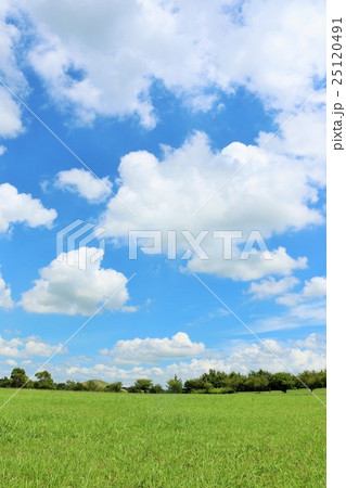 夏の大空と綺麗な公園風景の写真素材