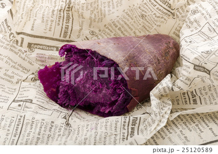 紅芋 紅芋 25120589