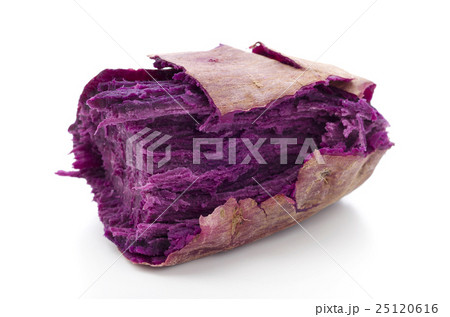 紅芋 紅芋 25120616