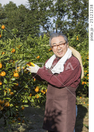Senior Life style Senior Life style 25121238