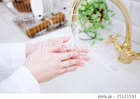 手洗い 手洗い 25121593
