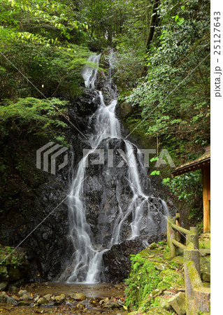 調音の滝 25127643