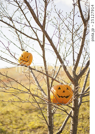 ハロウィン ハロウィン 25127914