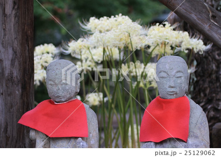 お地蔵さんと白ヒガンバナ 25129062