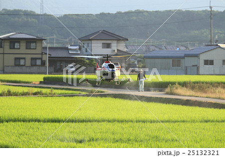 ラジコンヘリによる農薬散布「ヘリ防除」 ラジコンヘリによる農薬散布「ヘリ防除」 25132321