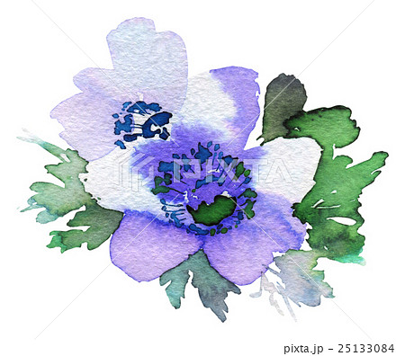 Flowers watercolor illustration Flowers watercolor illustration 25133084