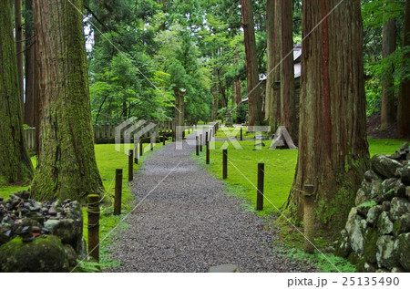 美しい苔で有名な福井県勝山市の平泉寺の白山神社の写真素材