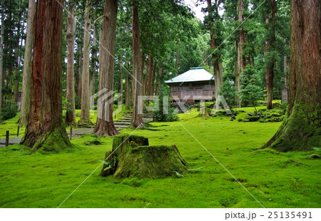 美しい苔で有名な福井県勝山市の平泉寺の白山神社の写真素材