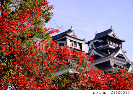 紅葉 熊本城の写真素材