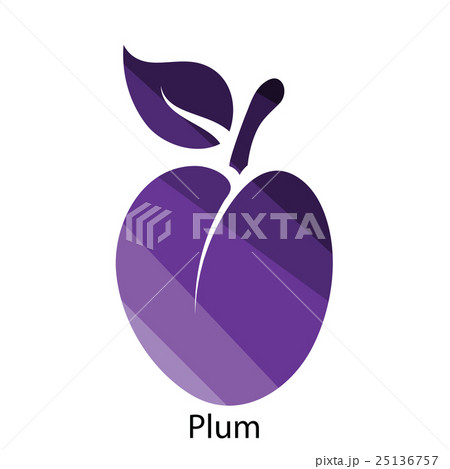 Plum icon 25136757