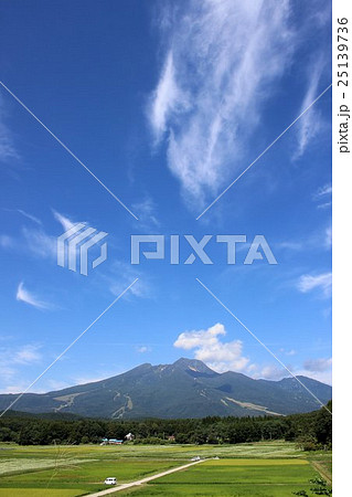 初秋の妙高山の風景 初秋の妙高山の風景 25139736