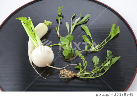 春の七草 25139949