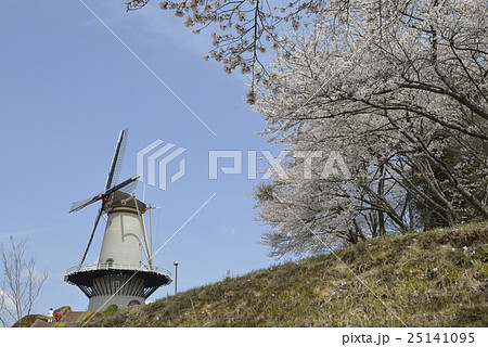 長沼フートピア公園・オランダ風車と桜(宮城県) 長沼フートピア公園・オランダ風車と桜(宮城県) 25141095