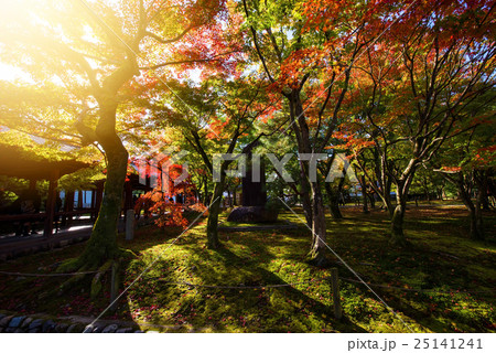Tofuku-ji temple at autumn, Kyoto Tofuku-ji temple at autumn, Kyoto 25141241