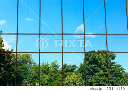 trees in the window 25144120